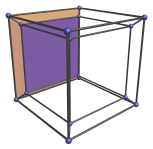 Cube-within-a-cube
projection of the tesseract, back frustum shown