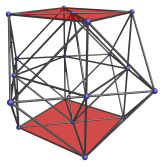 Second pair of limb cells