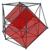 Third pair of limb cells