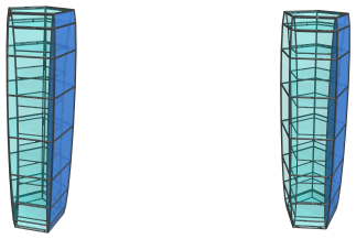 The
5,20-duoprism from another 4D viewpoint, showing 2/5 icosagonal prisms