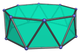 The octagonal
antiprism
